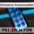 Black Ant Pills viagra1